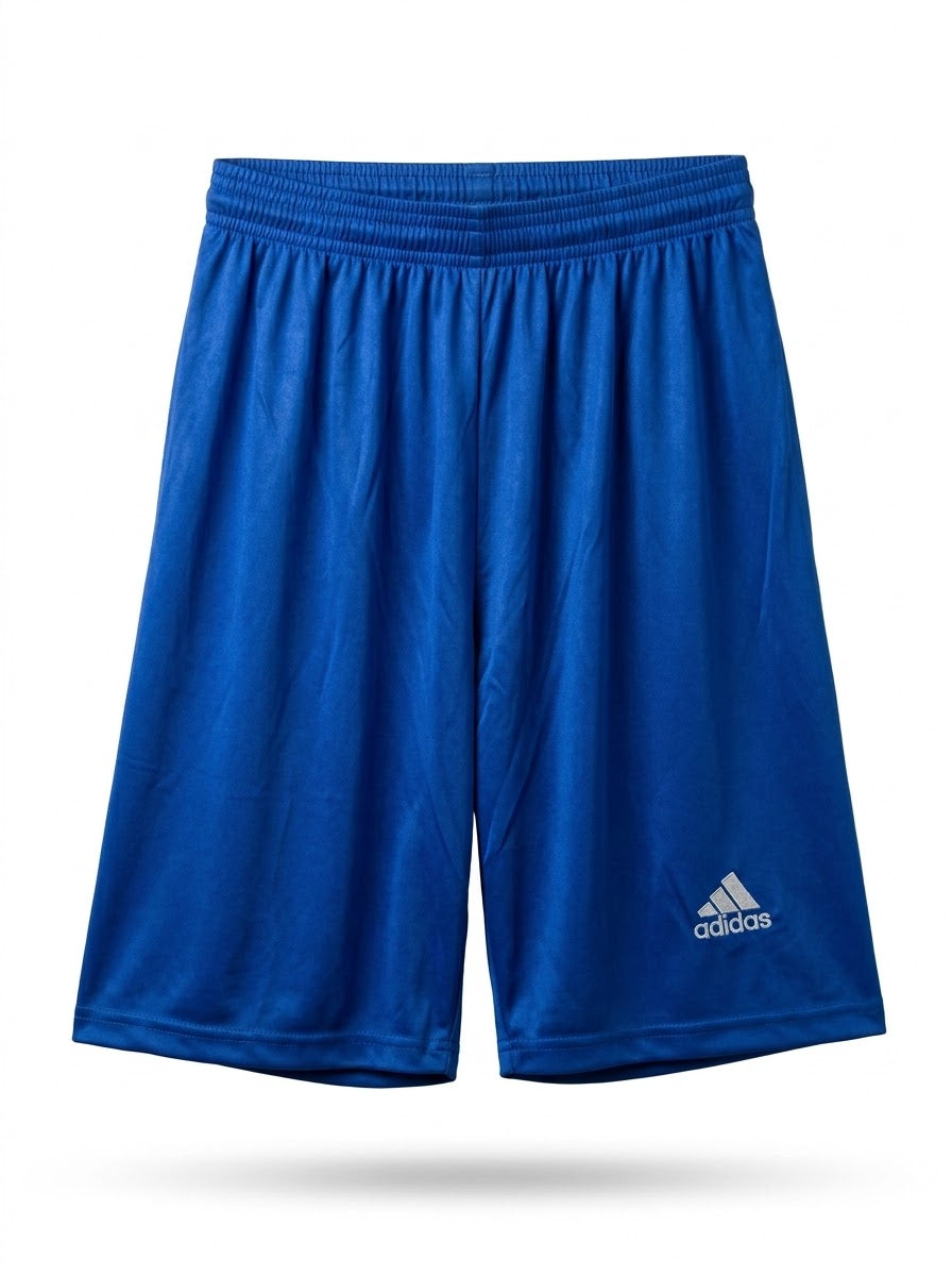Shorts (Blue)